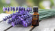 Lavender Oil